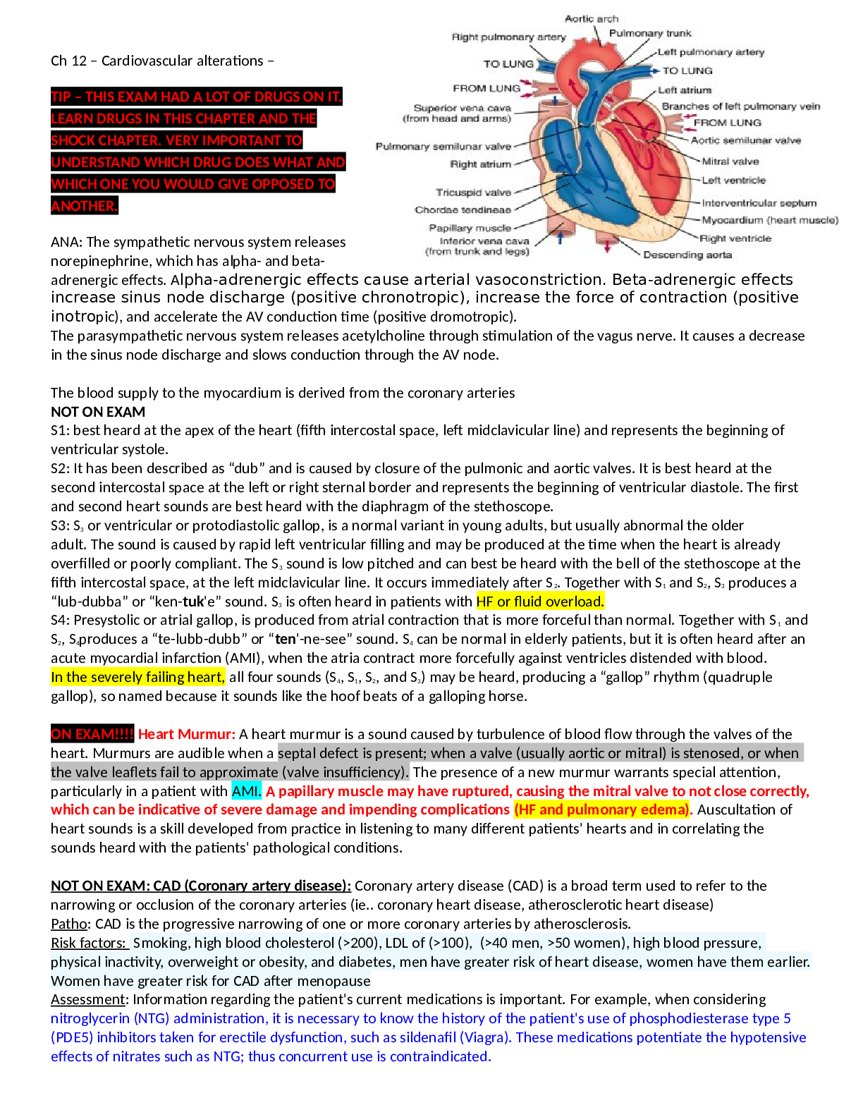 Preview of Critical care exam 2 STUDY GUIDE NOTES 2021